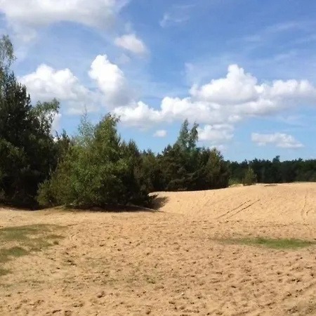 Boshuisje Op De Veluwe *
